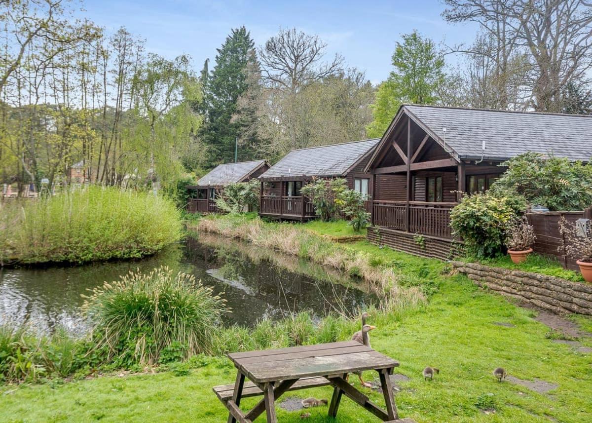 Tilford Woods Lodge Retreat Farnham  Exterior photo