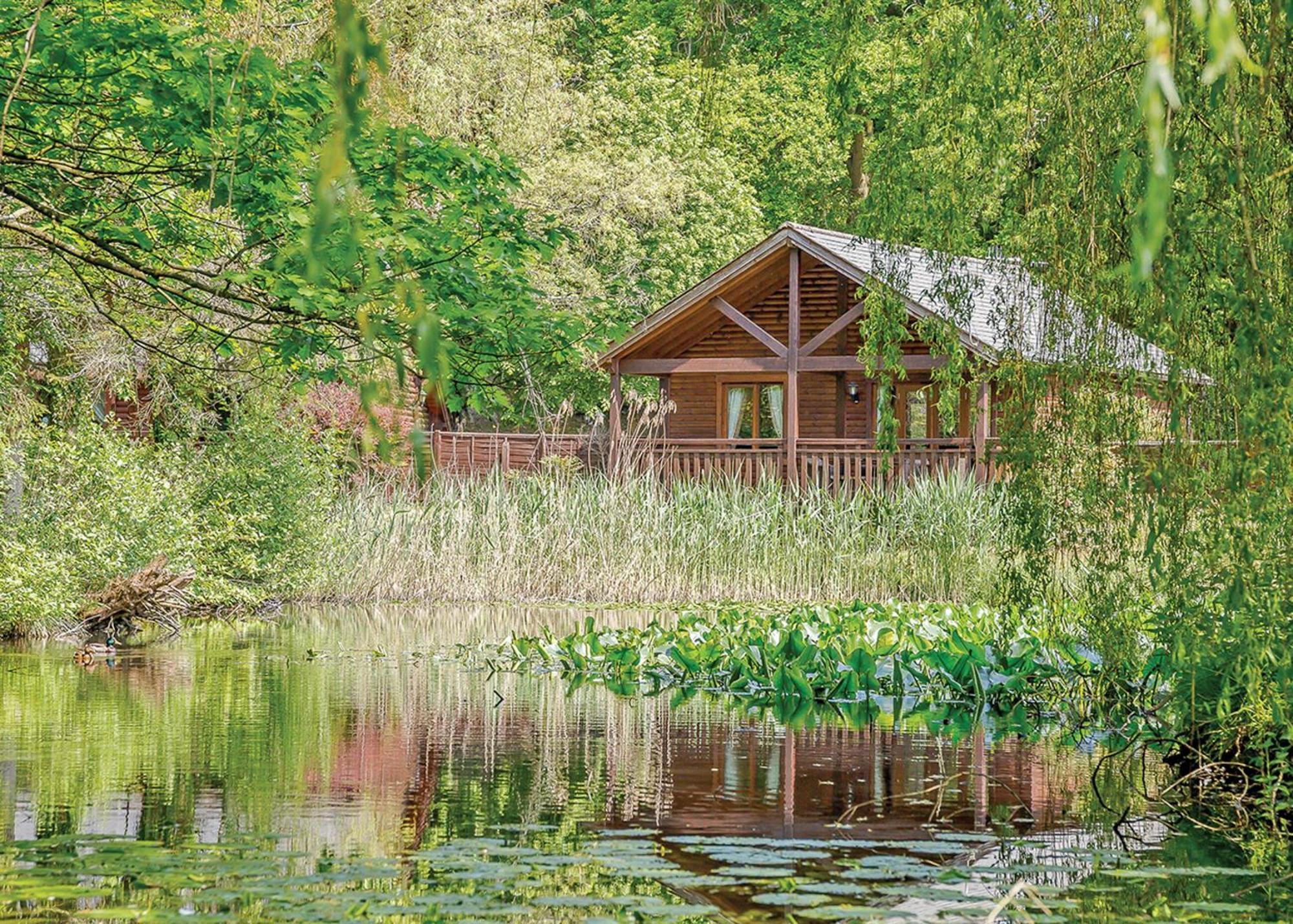 Tilford Woods Lodge Retreat Farnham  Exterior photo